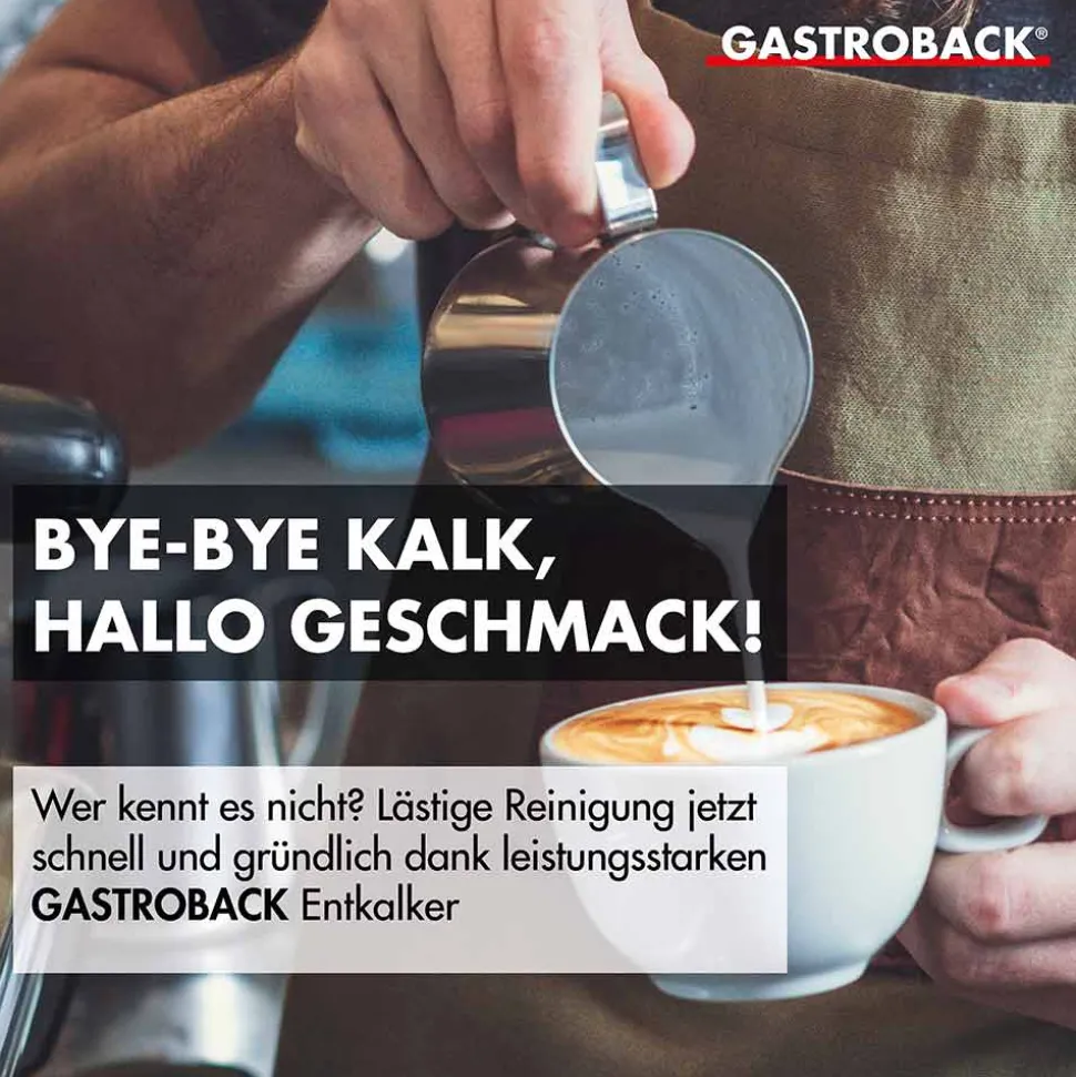 Premium Entkalker 500 ml